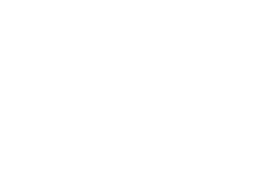 Church Street Boxing Gym logo